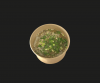 Miso
